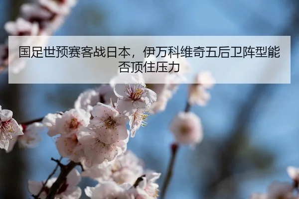 guo-zu-shi-yu-sai-ke-zhan-ri-ben-yi-wan-ke-wei-qi-wu-hou-wei-zhen-xing-neng-fou-ding-zhu-ya-li-3-944.jpg