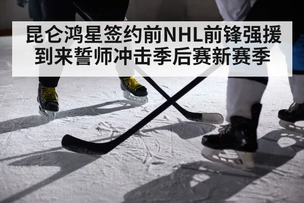 昆仑鸿星签约前NHL前锋强援到来誓师冲击季后赛新赛季