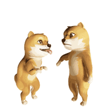 AG竞猜