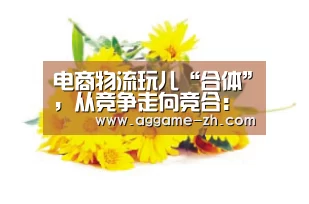AG竞猜